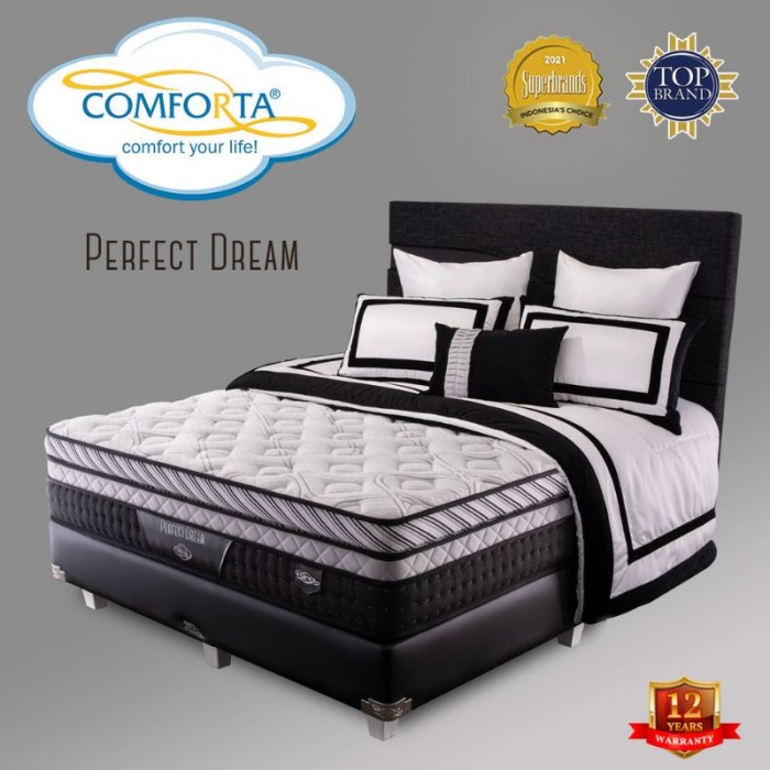 Comforta perfect dream