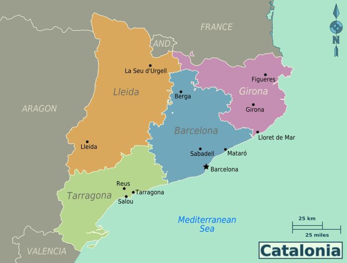 D cataluna